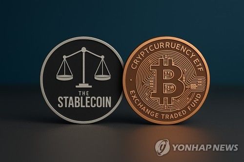 스테이블코인 현물 이미지. / 연합뉴스