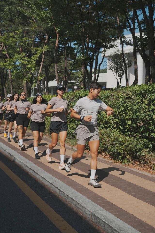 LF 제공