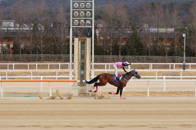 (기획1)(사진1) 로쉬