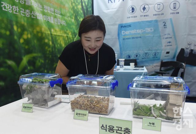 2026 농식품 테크 스타트업 창업박람회(AFRO 2026)가 15일 서울 강남구 코엑스 C홀에서 열린 가운데 방문객이 메이즈 부스서 식용 곤충을 살펴보고 있다./ 이호형 기자 leemario@sporbiz.co.kr 2026.07.15