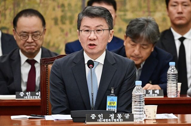 정몽규 전 회장. /국회사진기자단