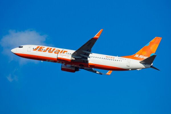 제주항공 B738 여객기 / 제주항공
