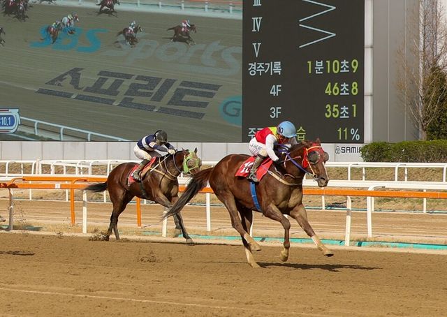 (기획)(사진4) 빈체로카발로_26년 SBS스포츠스프린트