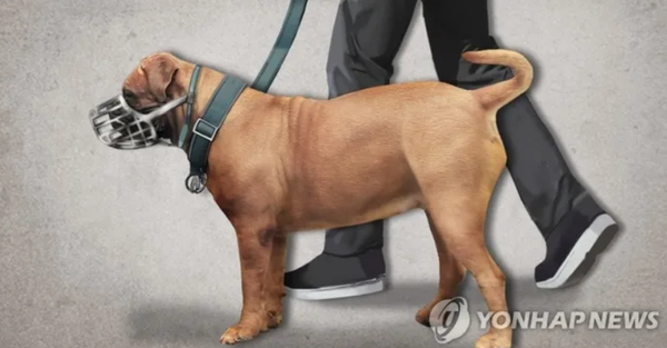 사진= 연합뉴스