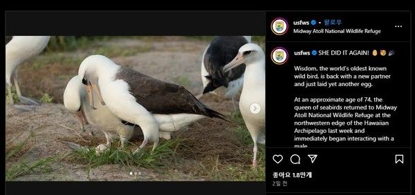 사진=&nbsp;미국 어류·야생동물관리국(USFWS) 인스타그램 캡쳐