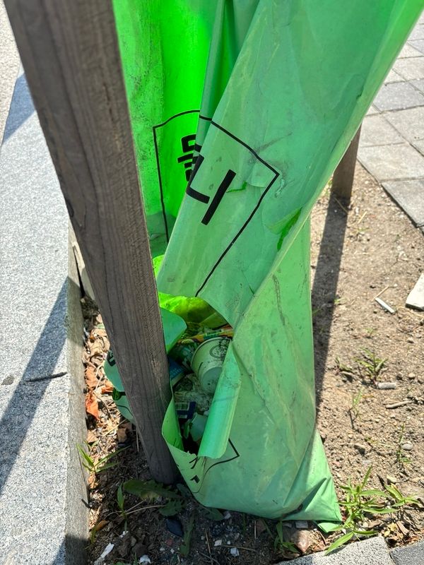 4일 대전 중구의 한 길거리 가로수에 설치된 관수용 물주머니에 쓰레기가 담겨 있다.