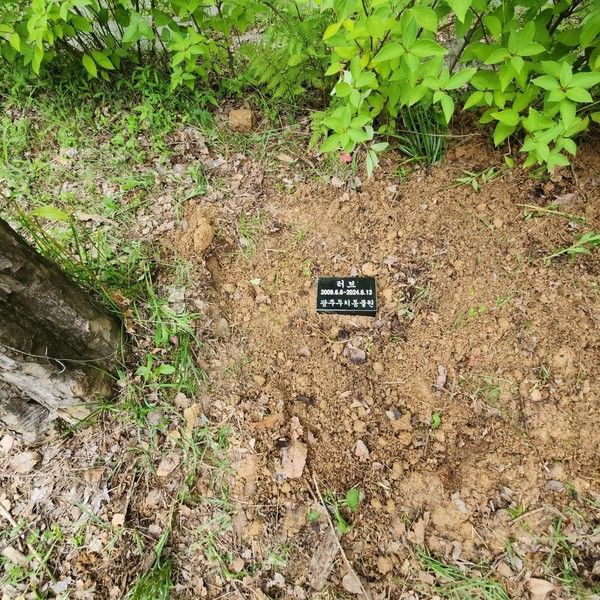 사진= 러브 수목장.&nbsp;우치동물원 제공.