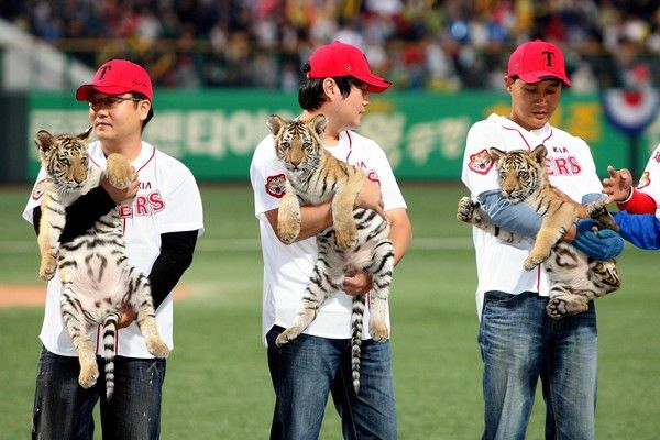 사진=&nbsp;KIA타이거즈 제공.