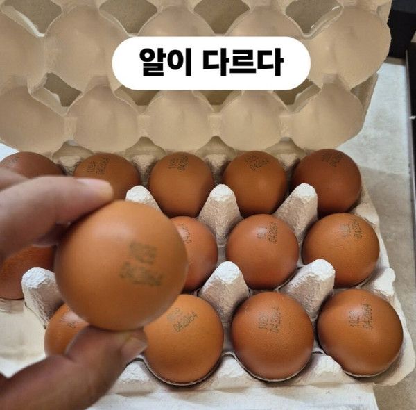 사진=조혜련 SNS