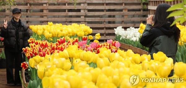 사진= 연합뉴스