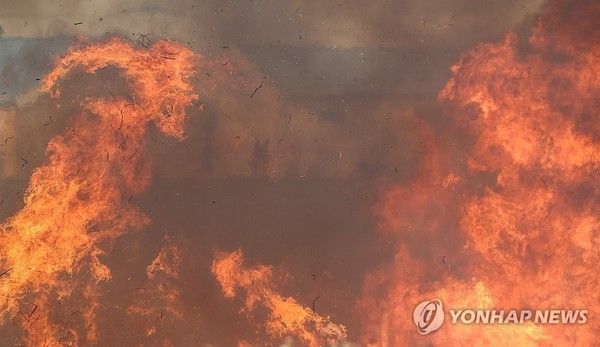 사진= 연합뉴스