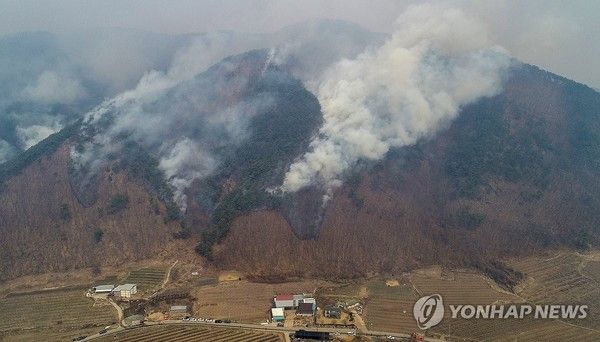 사진=&nbsp;경북 의성에서 시작된 산불이 안동으로 번진 가운데 25일 오전 경북 안동시 길안면 백자리 일대 야산에서 연기가 피어오르고 있다. 연합뉴스