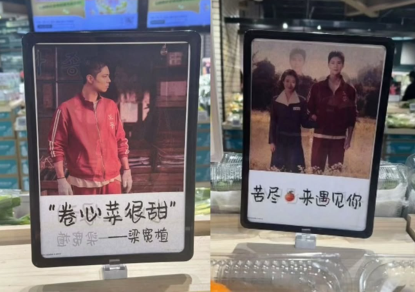 사진 - 서경덕 교수 인스타그램