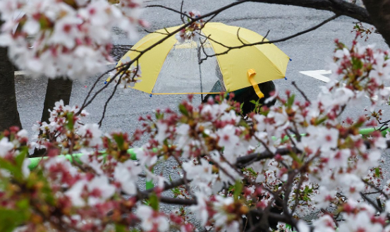 사진= 연합뉴스