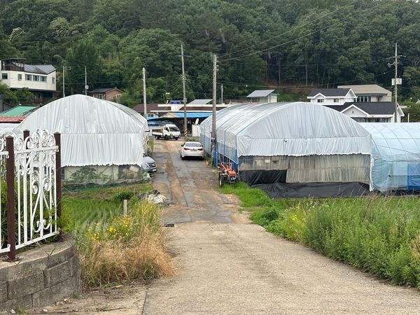 지난해 수해로 까지고 패인 도로. 이주빈 촬영.