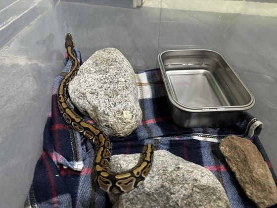 사진= 국립공원공단 북부보전센터