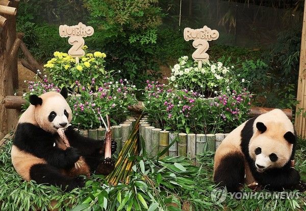 사진 = 연합뉴스