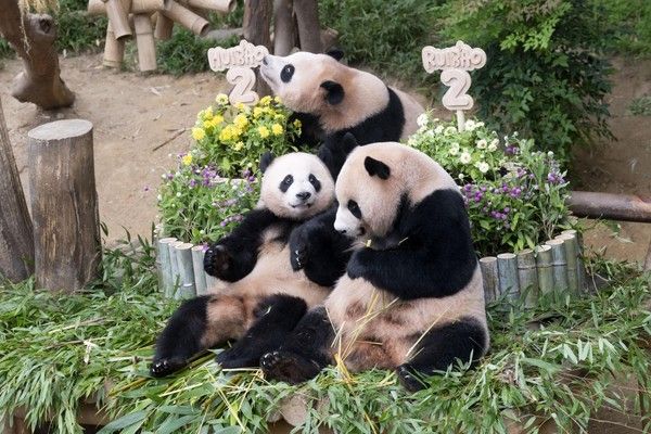 사진 = 에버랜드 제공