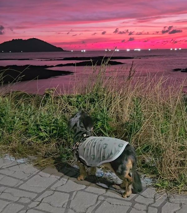 사진= 루 인스타그램