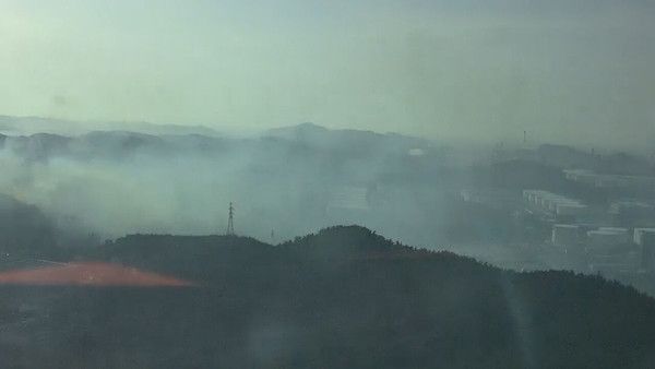 사진=&nbsp;21일 오후 충남 서산시 대죽읍 대죽리 인근에서 산불이 발생해 주변 석유비축기지 인근으로 확산하고 있다. 산림청 제공