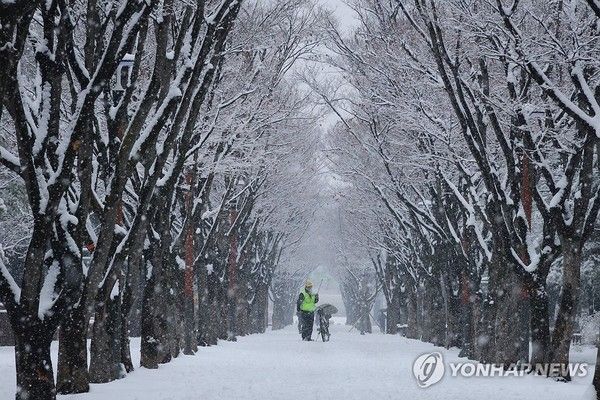 사진= 연합뉴스