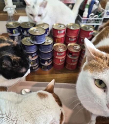 사진=&nbsp;팅커벨프로젝트