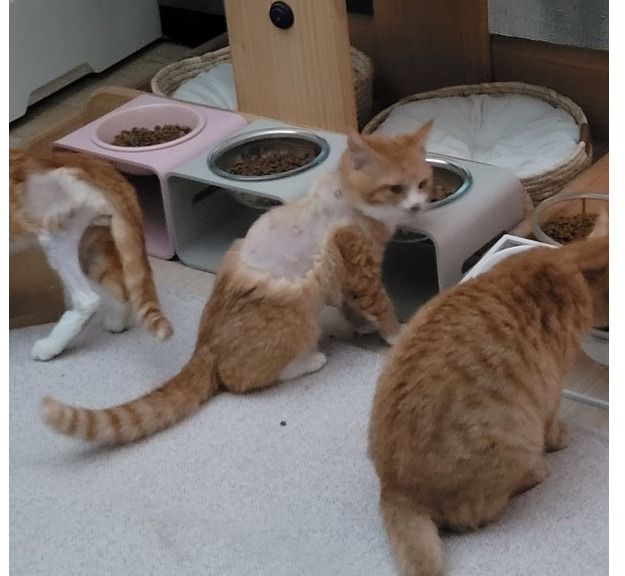 사진=&nbsp;팅커벨프로젝트