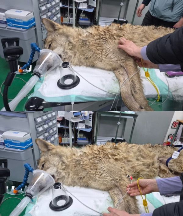 사진= 대전시 인스타그램