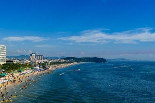 사진=보령시