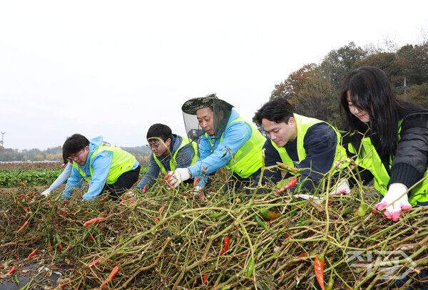 윤병운 NH투자증권 사장(가운데)과 임직원들이 1일 경기도 파주시 문산읍 당동2리 농가에서 고추대 철거작업을 하고 있다 [NH투자증권]