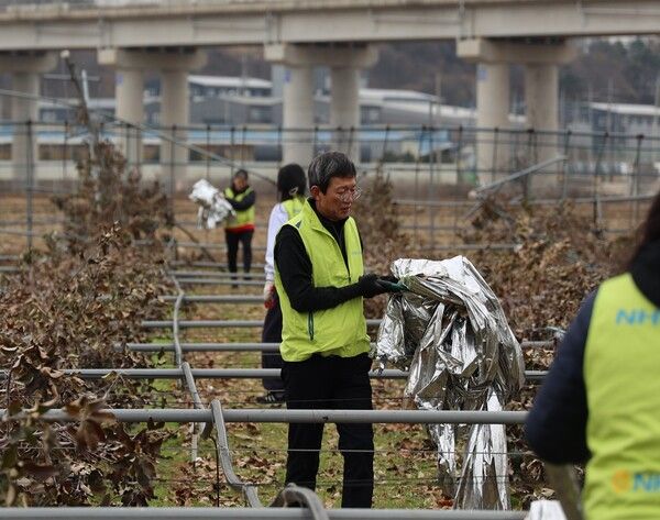 윤해진 NH농협생명 대표이사(오른쪽 두 번째)가 지난 13일 폭설 피해를 입은 경기도 화성시를 찾아 부족한 일손을 도왔다. [NH농협생명]