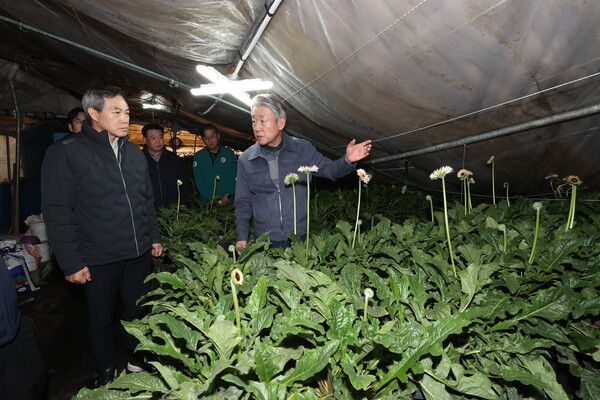 강호동 농협중앙회장(가운데 회색 점퍼 착용)이 지난 2일 경기도 안성 및 평택시 폭설피해 농가 현장을 방문한 피해농업인을 위로하고 있다. [농협중앙회]