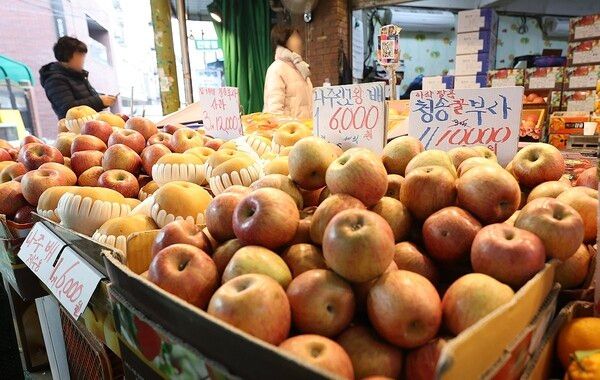 서울 마포구 망원시장 한 과일가게에 사과가 진열돼 있다. [연합뉴스]