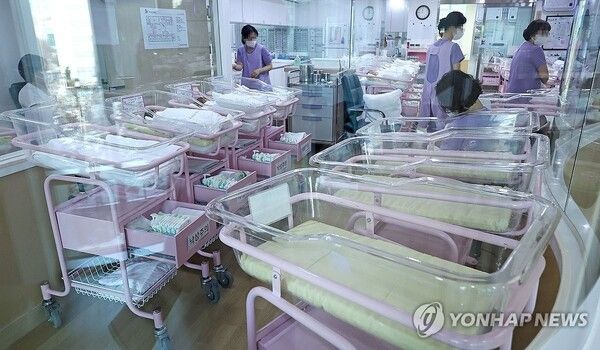 서울의 한 공공산후조리원 신생아실 / 사진은 기사내용과 무관 [연합뉴스]