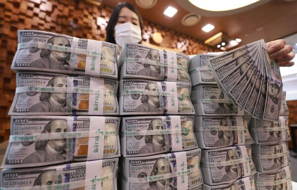 서울 중구 하나은행 위·변조 대응센터에서 직원이 달러를 정리하고 있다. [연합뉴스]