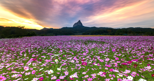 전북&nbsp;진안의 마이산&nbsp;현장 이미지. [진안군]&nbsp;