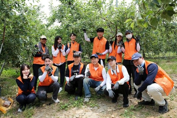한화 임직원들이 경기도 연천군 군남면 임진농협 관내 사과농가에서 농촌 일손돕기 봉사활동을 진행하고 있다. [한화]