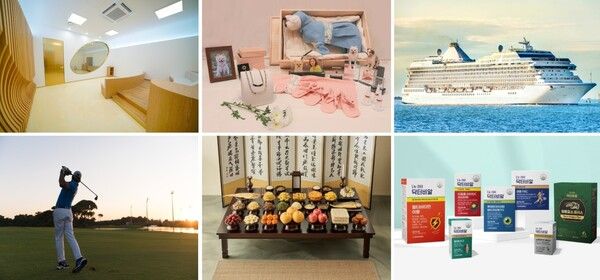 (좌측 상단부터) 보람상조 직영장례식장 ‘보람의정부장례식장’, 반려동물 장례상품 ‘스카이펫’,반려동물 생체보석 ‘펫츠비아’, 보람상조 크루즈여행 상품 ‘보람탐크루즈’, 골프여행 전환서비스, 보람F&B ‘보람섬김-효차림’, 보람바이오 건강기능식품 닥터비알‘. [보람그룹]