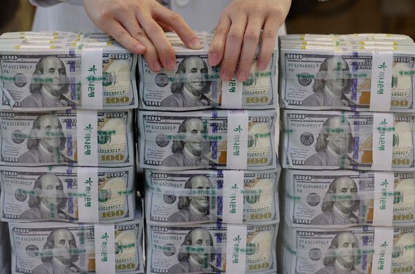 정부가 원달러 환율 안정화를 위해 외환건전성 제도를 한시적으로 완화하기로 했다. 서울 중구 을지로 하나은행 본점 위변조대응센터에서 직원들이 달러화를 정리하고 있다. [연합뉴스]