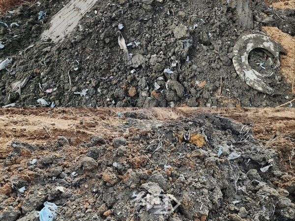 굴착 작업 후 검게 변한 흙과 함께 비닐, 플라스틱, 폐타이어 등 생활쓰레기 등이 발견됐다.[박정우 기자]