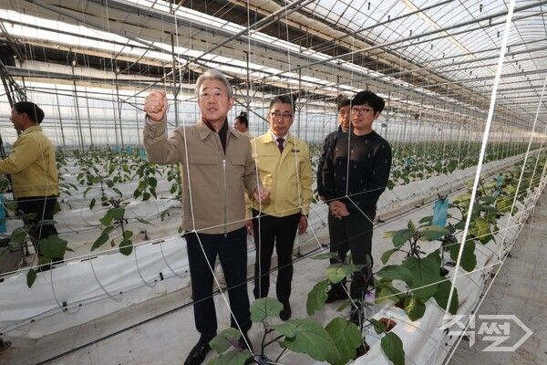 강호동&nbsp;농협중앙회장(왼쪽&nbsp;첫번째)이&nbsp;구규회&nbsp;곤지암농협&nbsp;조합장(두번째)&nbsp;등&nbsp;관계자들과&nbsp;함께&nbsp;지난&nbsp;28일&nbsp;경기&nbsp;광주시&nbsp;소재&nbsp;가지&nbsp;재배&nbsp;농가를&nbsp;방문해&nbsp;생육&nbsp;동향을&nbsp;점검하고&nbsp;있다. [농협중앙회]