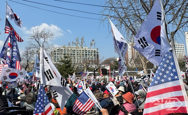 3일 헌법재판소 인근 윤석열 대통령 탄핵 반대 시위 현장에서 태극기와 성종기가 나부끼고 있다. [손성은 기자]