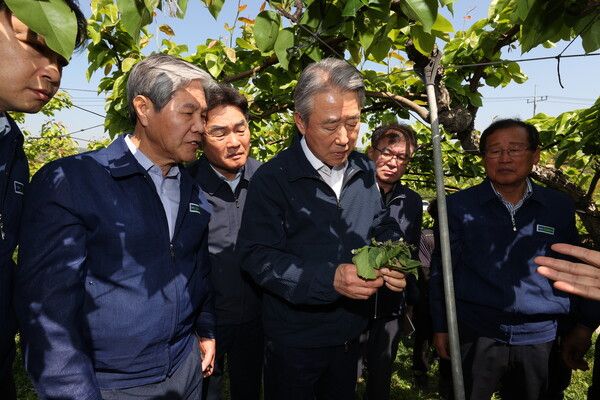 강호동 농협중앙회장(왼쪽에서 3번째)은 경북 상주를 찾아 최근 이상저온으로 냉해 피해를 입은 배 재배농가를 방문하여 피해상황을 점검하고 있다. [농협중앙회]