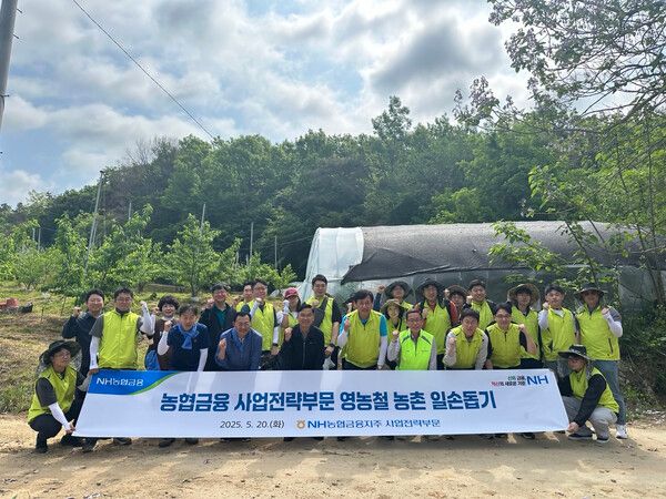 농협금융은 20일, 충북 음성군에서 사업전략부문 황종연 부사장과 직원들이 복숭아 농가를 찾아 농번기 일손돕기를 실시했다. 황종연 부사장(오른쪽)과 감곡농협 정지태 조합장(왼쪽)이 구슬땀을 흘리며 작업에 열중하고 있다. [NH농협금융]