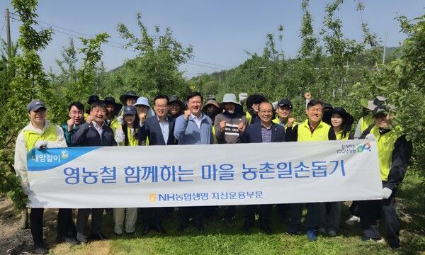 NH농협생명은 8일 충북 증평군 증평농협 관내 농가를 찾아 농촌일손돕기를 실시했다. [NH농협생명]