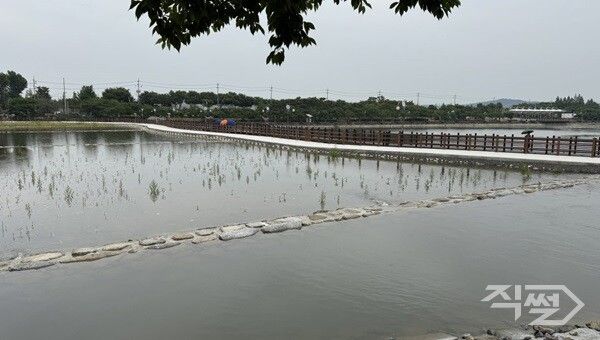 영천 우로지 저수지 전경. [영천시]