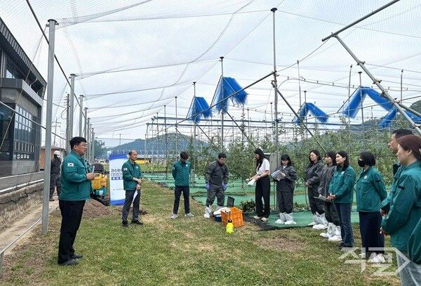 의성군 화상병 대응 모의훈련 모습. [의성군]