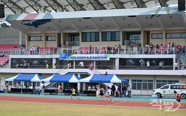 2025 교육장기 초·중 육상경기대회 모습. [영천교육지원청]