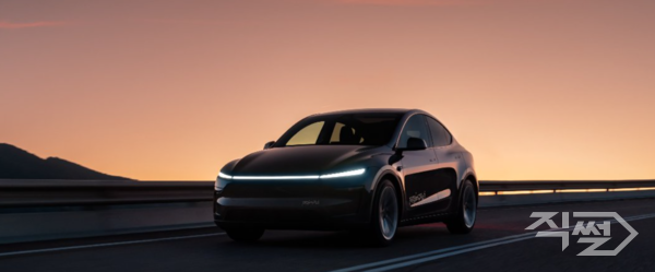 테슬라 로보택시. [테슬라 홈페이지]