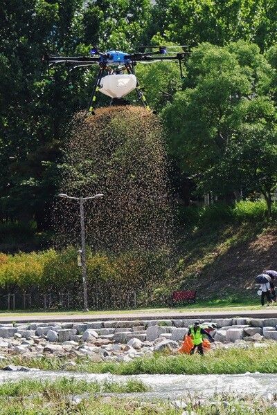 모기유충 드론방역 시연 모습. [대구 북구청]